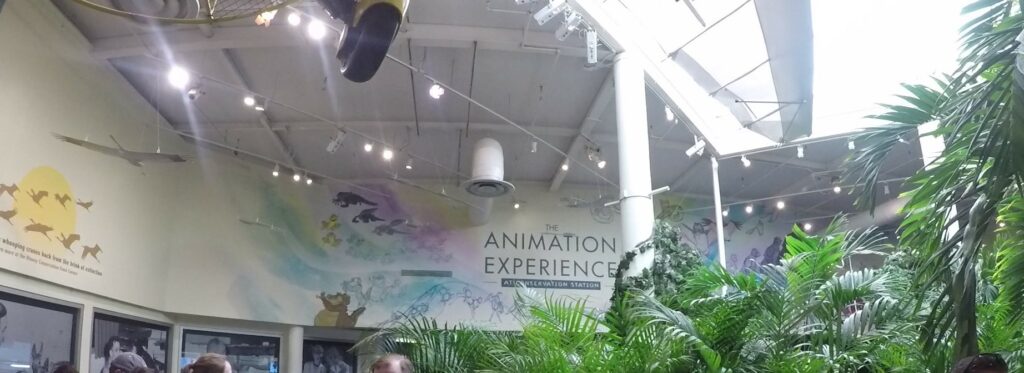 Animation Experience Wall