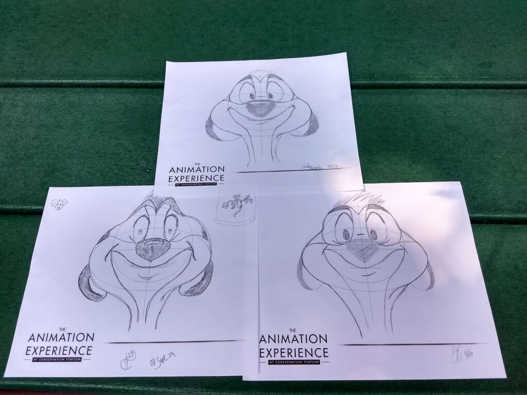 Drawings from Animation Experience