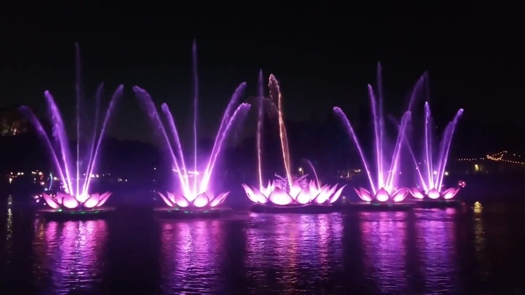 Rivers of Light in Animal Kingdom