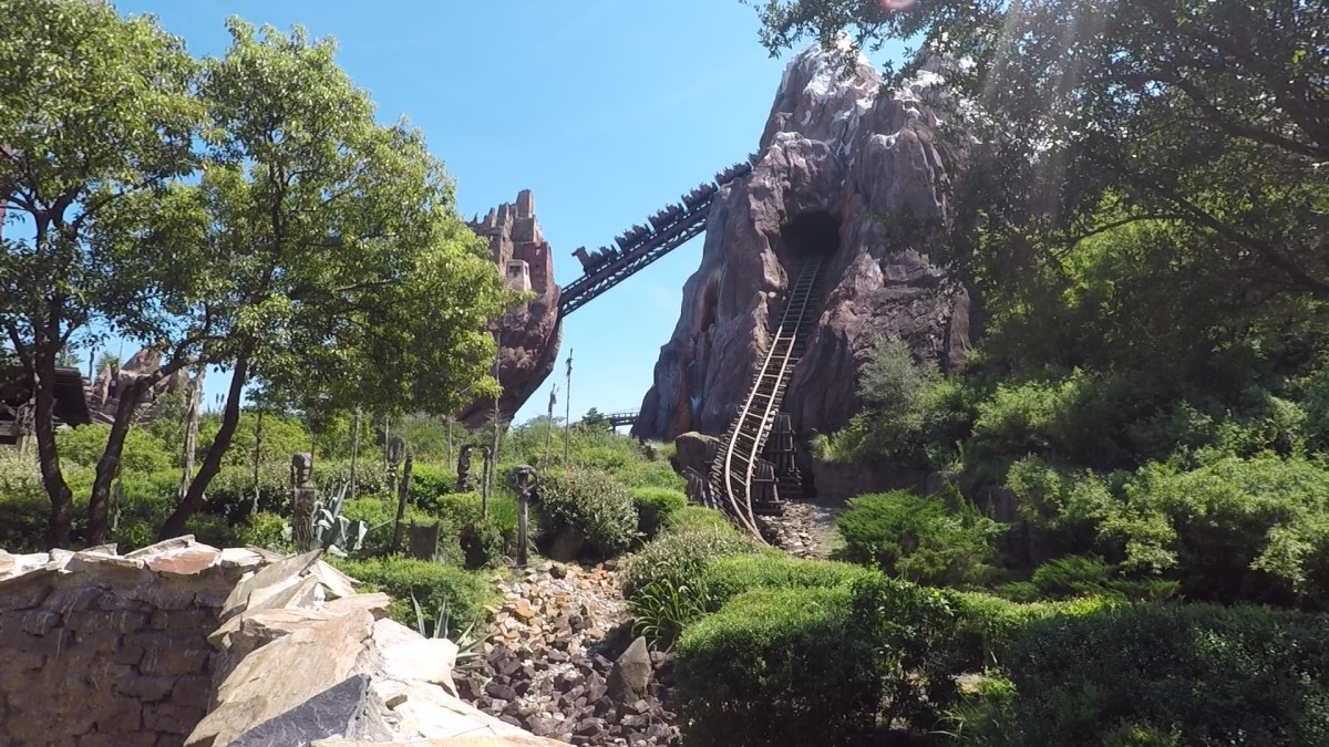 Animal kingdom ride everest