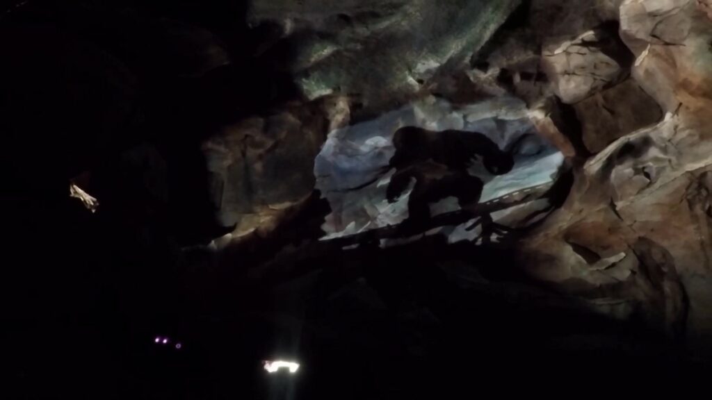 Shadow of the Yeti on Expedition Everest ride