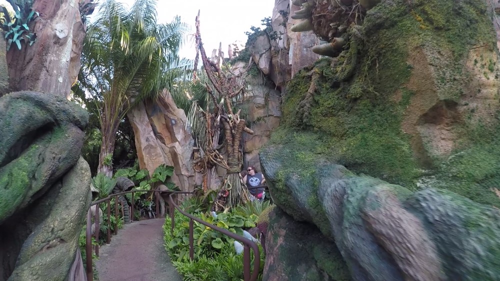 entrance to Navi caves in Flight of Passage queue