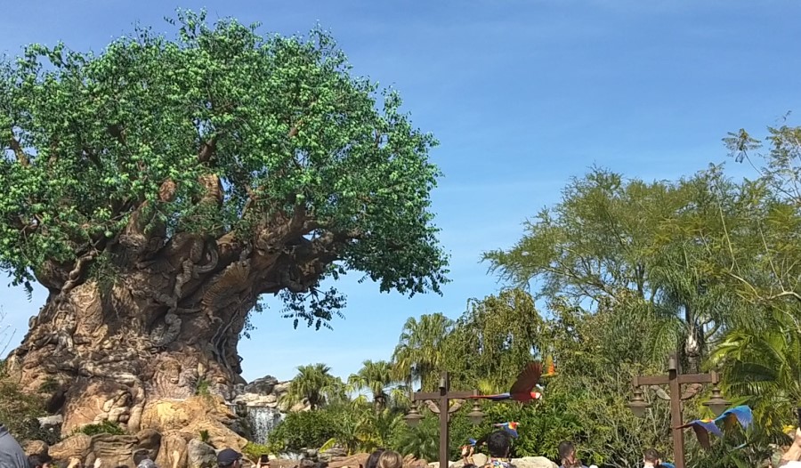 Animal Kingdom Tree of Life with Birds in flight