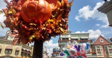 Fall decor at Magic Kingdom