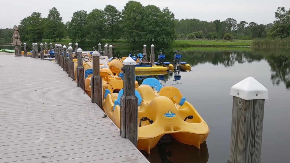 paddle boats on the lake