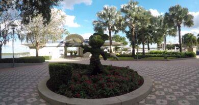 Contemporary Resort Mickey Mouse Topiary
