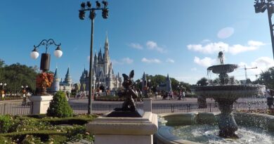 Magic Kingdom In Front of Castle