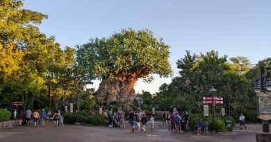 Disney Tree of Life Animal KIngdom