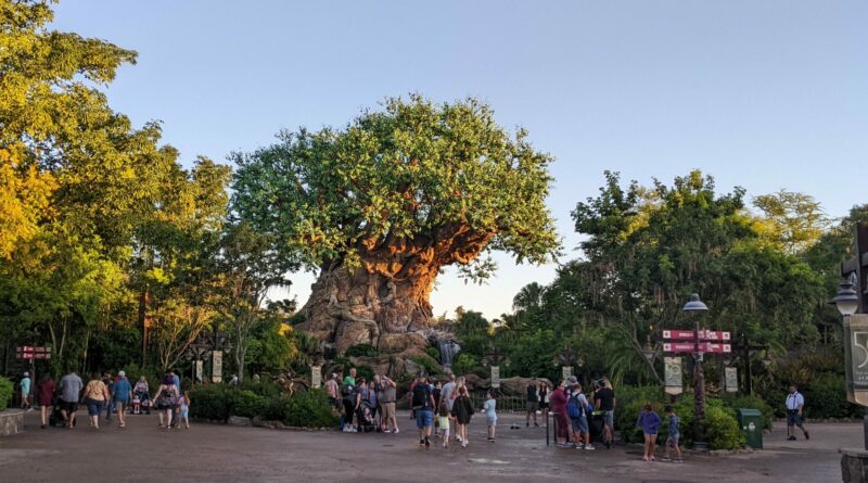 Disney Tree of Life Animal KIngdom