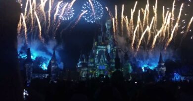 Fireworks over Cinderella Castle with castle projections