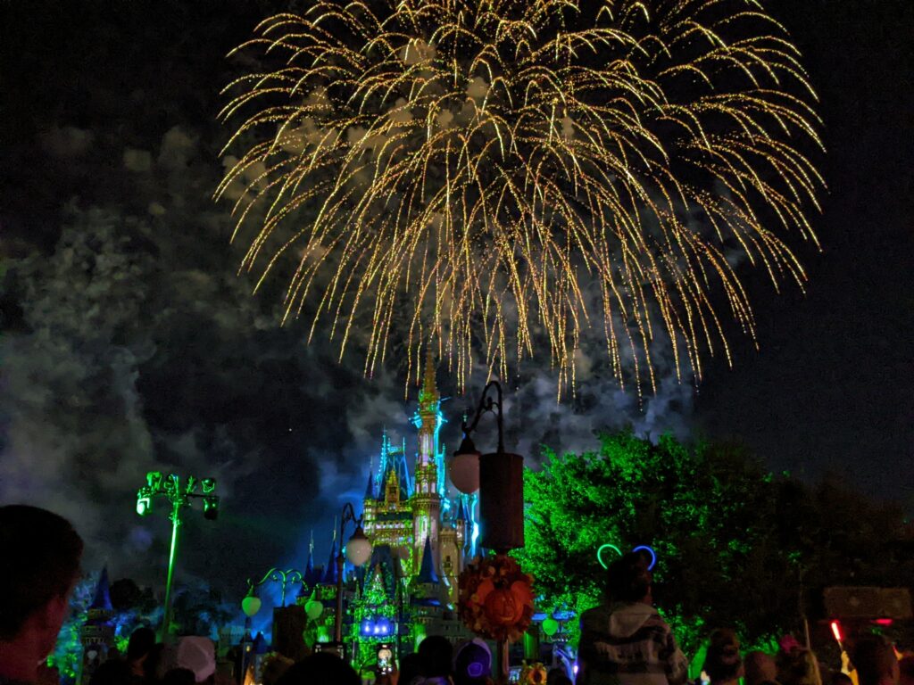 Magic Kingdom Fireworks