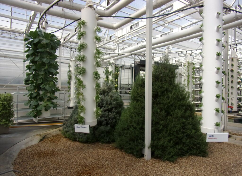 Living With The Land Plants
