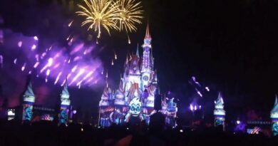Halloween Party Castle Projections