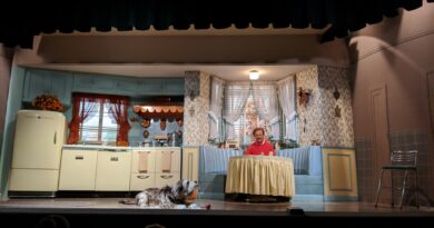 Attraction: Carousel Of Progress at Magic Kingdom