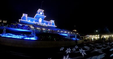 Entrance decor for Mickey's Very Merry Christmas Party