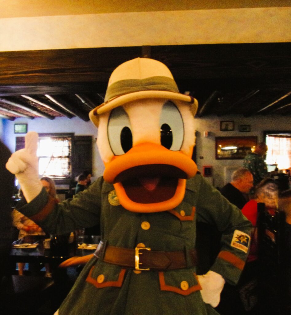 Donald at Tusker House in Animal Kingdom