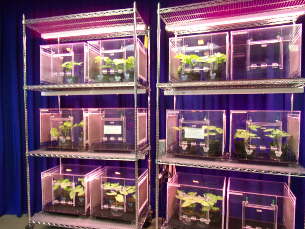 Behind the Seeds Lab photo