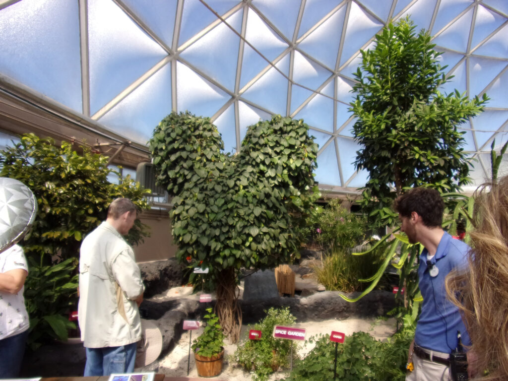 Behind The Seeds Tour photo of Mickey Topiary