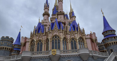 Magic Kingdom Castle angled view
