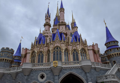 Magic Kingdom Castle angled view