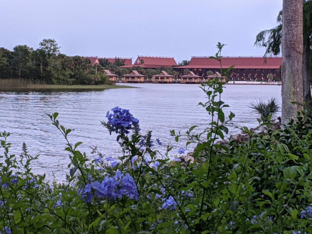 Polynesian Resort near Magic Kingdom