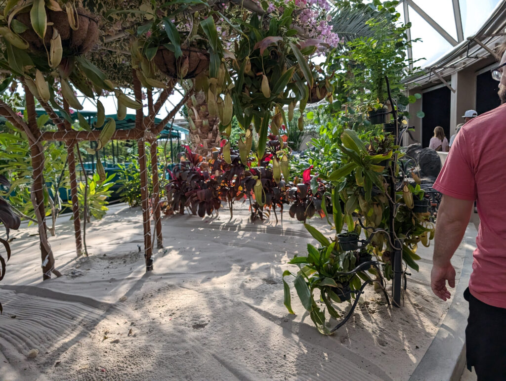 Behind the seeds tour inside greenhouse