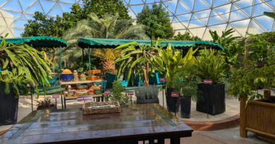 Behind the Seeds Tour inside Greenhouse