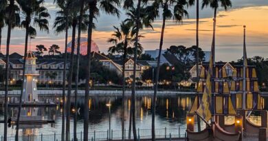 View from the Dolphin resort