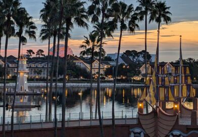 View from the Dolphin resort